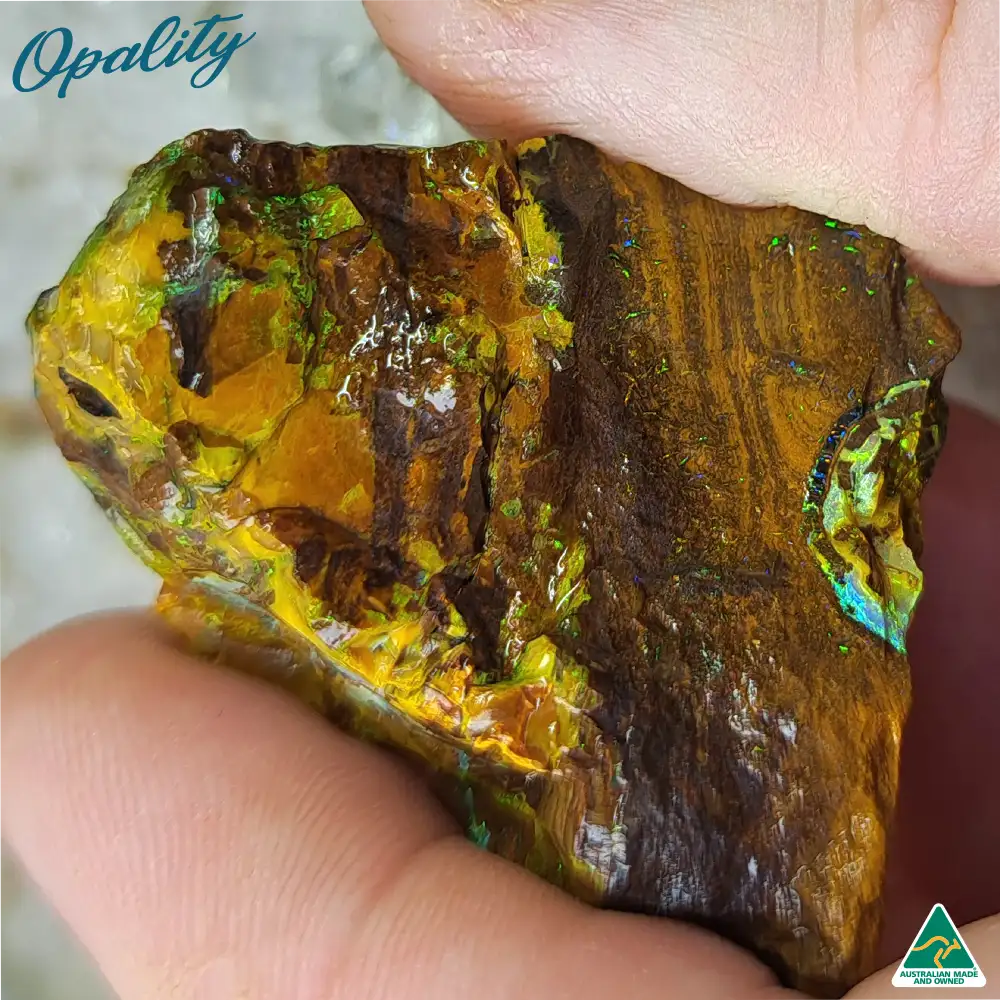 Australian Wood Replacement Opal Rough 22.5g - Bright Multicolor Specimen - Image 2