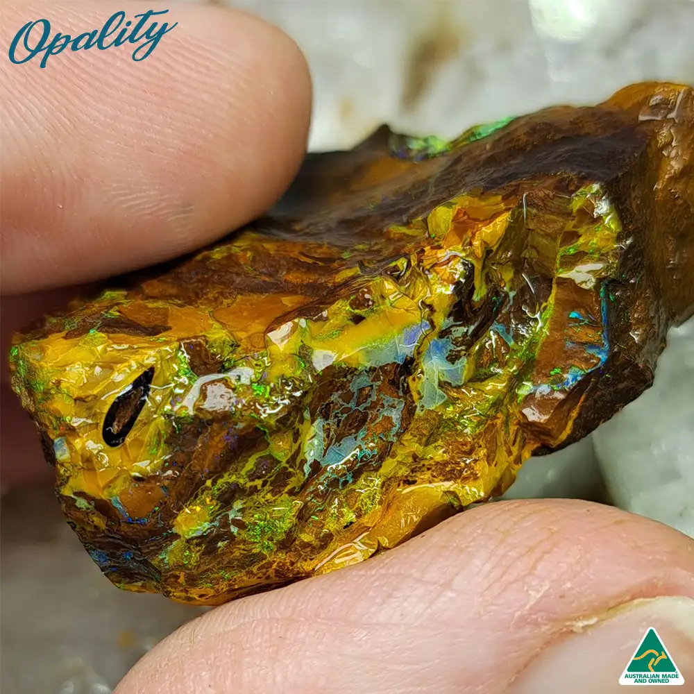 Australian Wood Replacement Opal Rough 22.5g - Bright Multicolor Specimen - Image 3