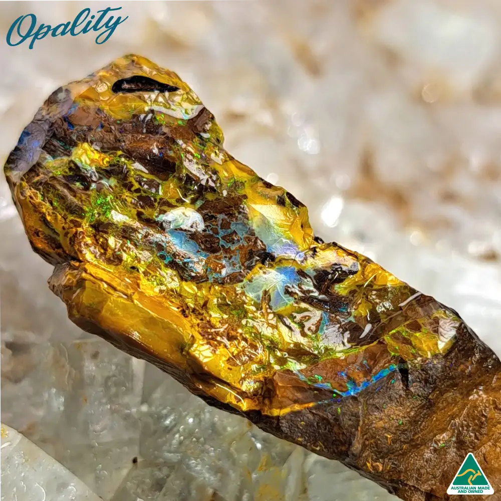 Australian Wood Replacement Opal Rough 22.5g - Bright Multicolor Specimen - Image 4