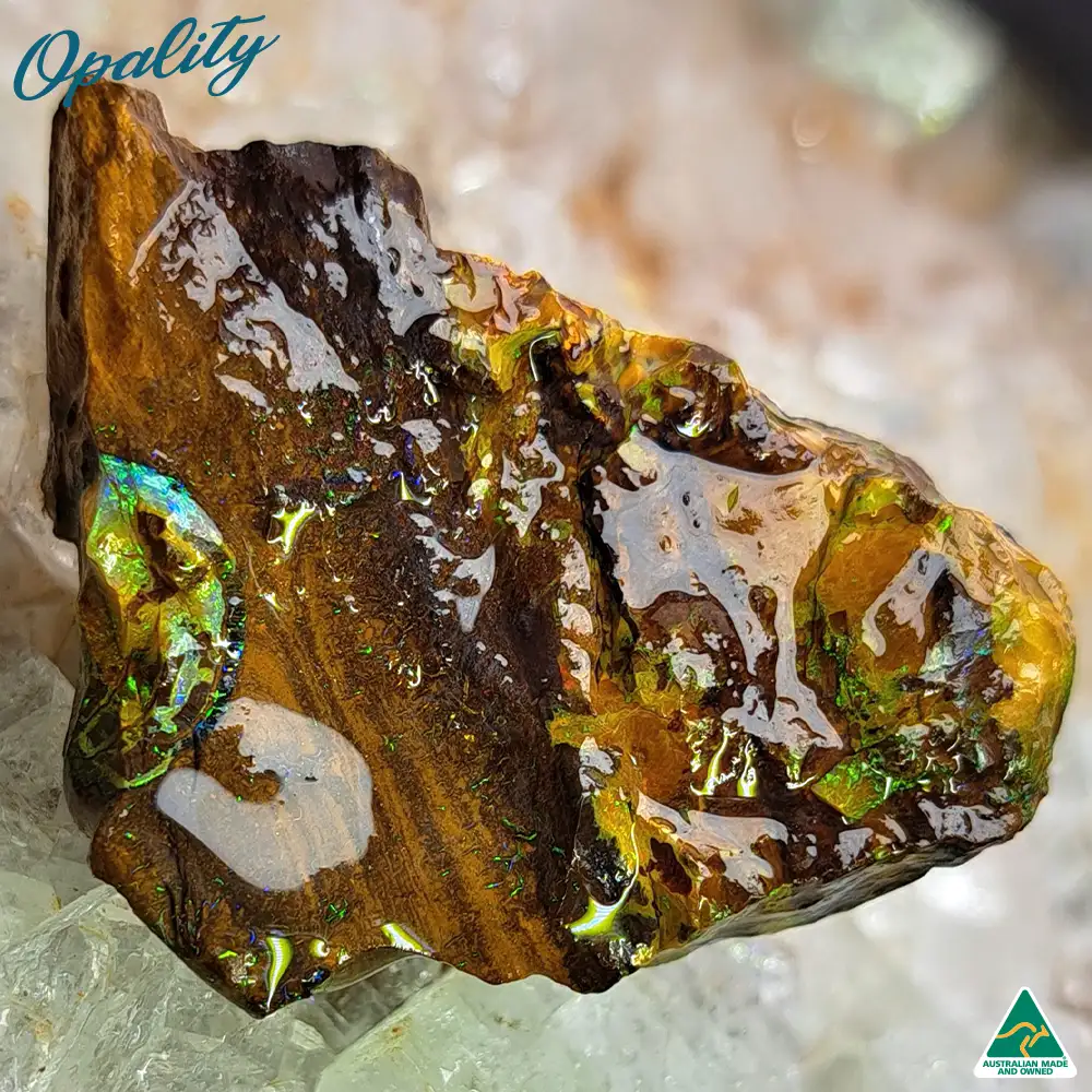 Australian Wood Replacement Opal Rough 22.5g - Bright Multicolor Specimen