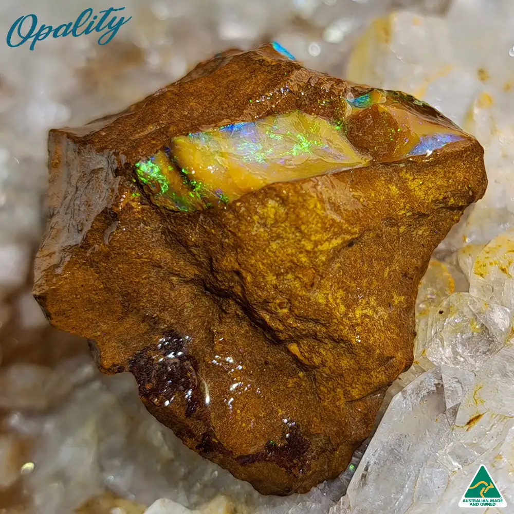 Australian Wood Replacement Opal Rough 22g - Image 2