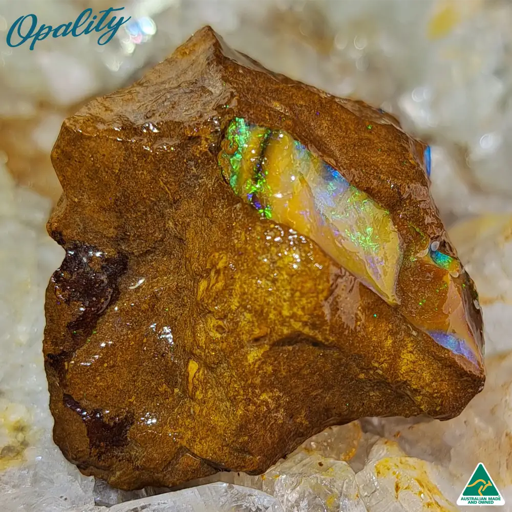 Australian Wood Replacement Opal Rough 22g