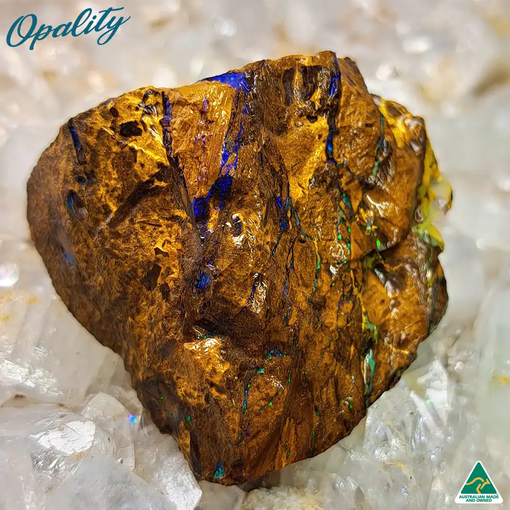 Australian Wood Replacement Opal Rough 24g - Vibrant and Unusual Specimen - Image 2