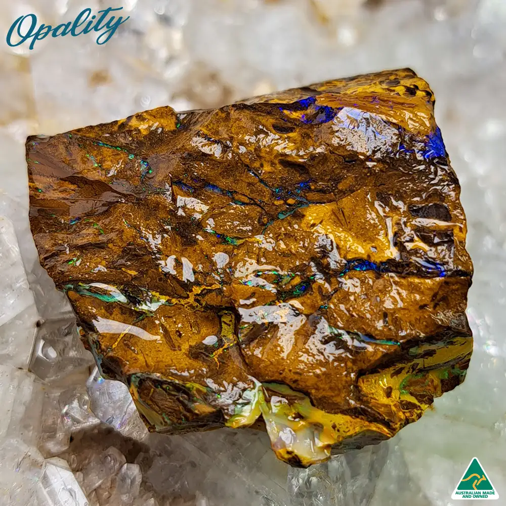 Australian Wood Replacement Opal Rough 24g - Vibrant and Unusual Specimen