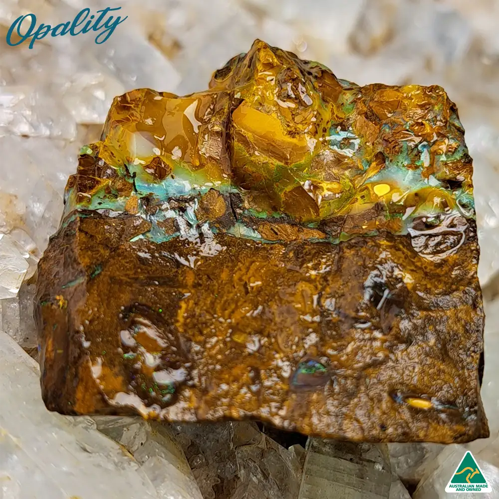 Australian Wood Replacement Opal Rough 24g - Vibrant and Unusual Specimen - Image 3