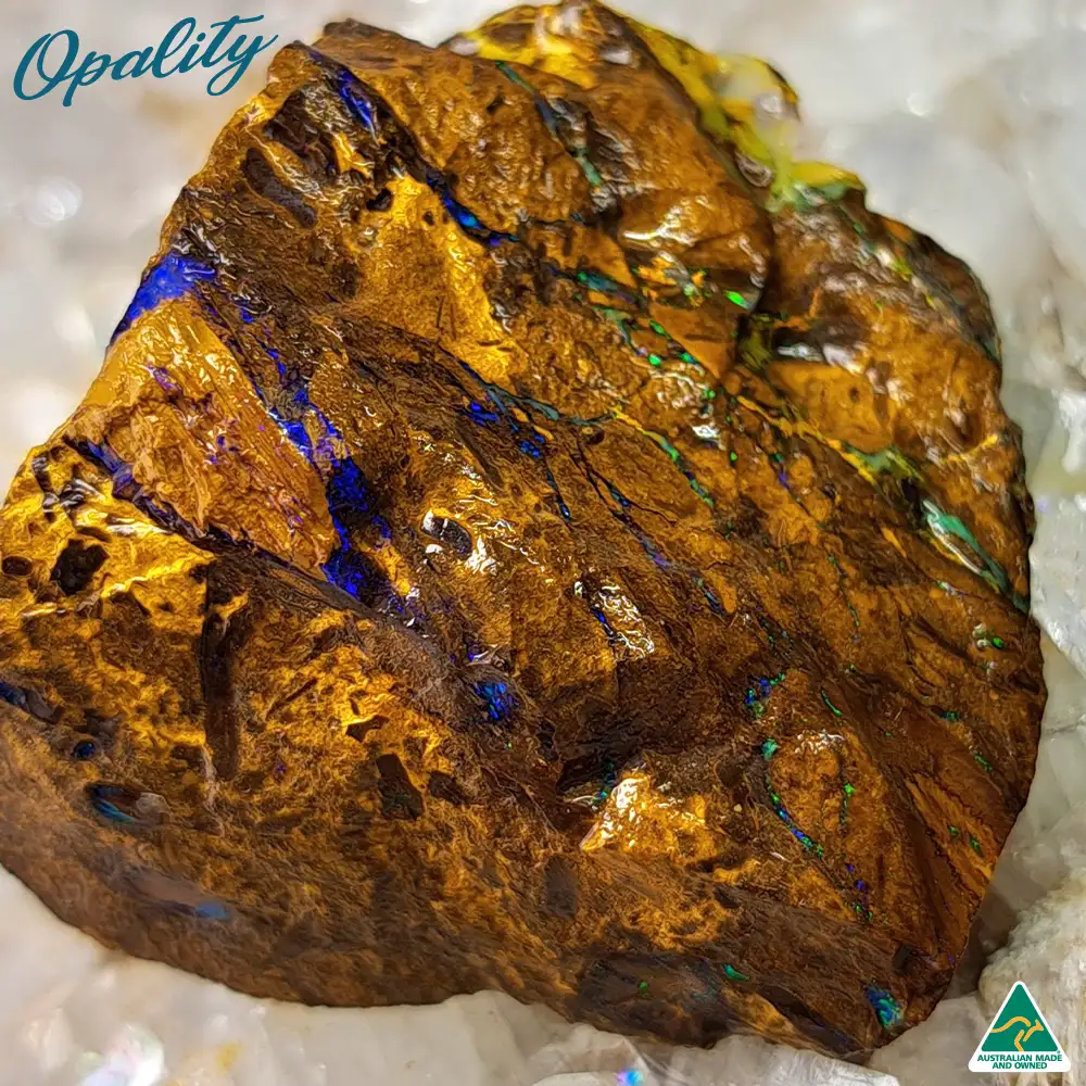 Australian Wood Replacement Opal Rough 24g - Vibrant and Unusual Specimen - Image 4