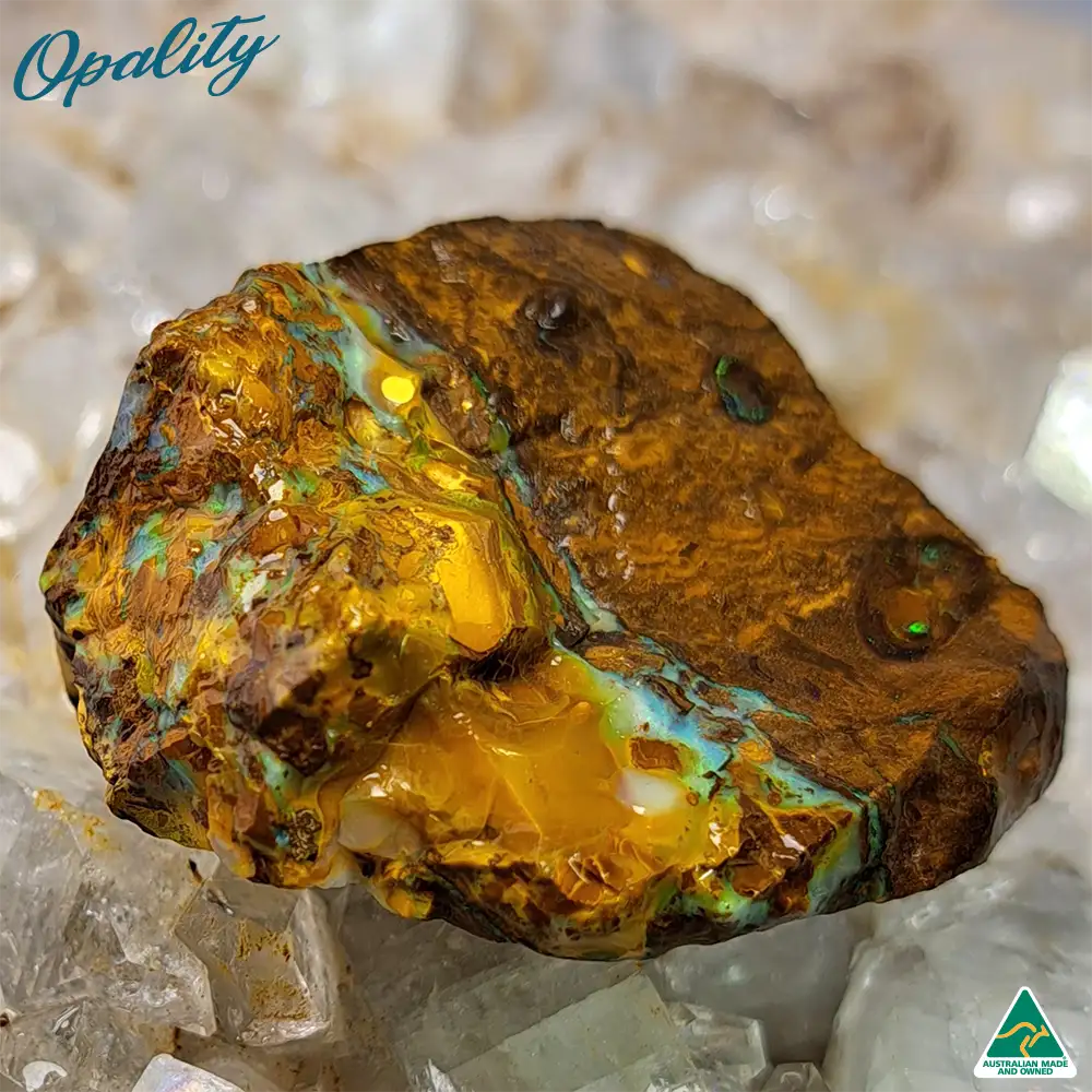 Australian Wood Replacement Opal Rough 24g - Vibrant and Unusual Specimen - Image 6