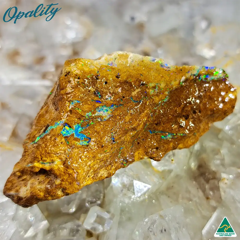 Australian Wood Replacement Opal Rough 25g - Vibrant Specimen