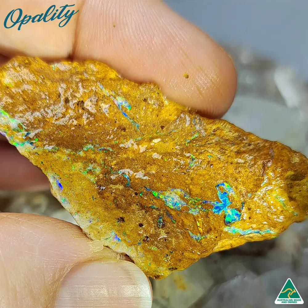 Australian Wood Replacement Opal Rough 25g - Vibrant Specimen - Image 4