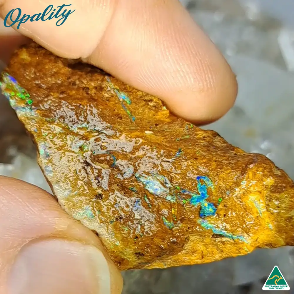 Australian Wood Replacement Opal Rough 25g - Vibrant Specimen - Image 2