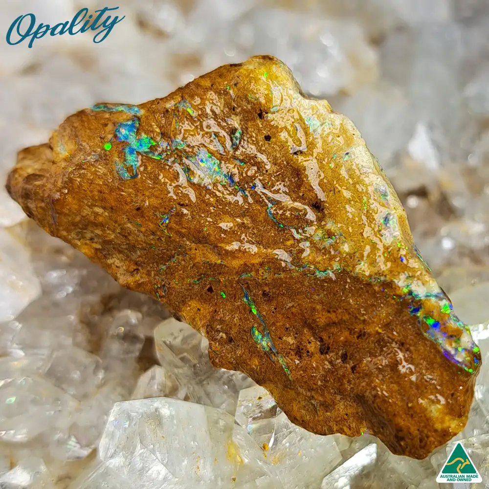 Australian Wood Replacement Opal Rough 25g - Vibrant Specimen - Image 3
