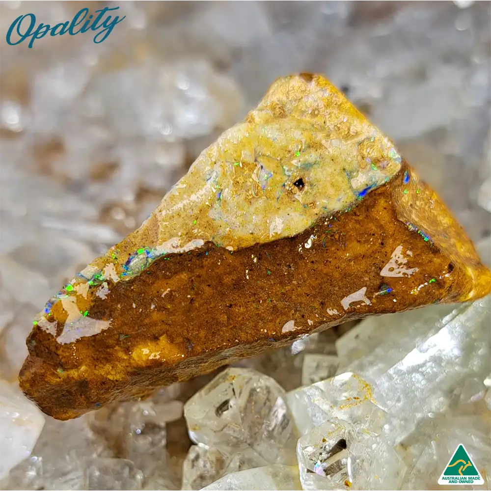 Australian Wood Replacement Opal Rough 25g - Vibrant Specimen - Image 5
