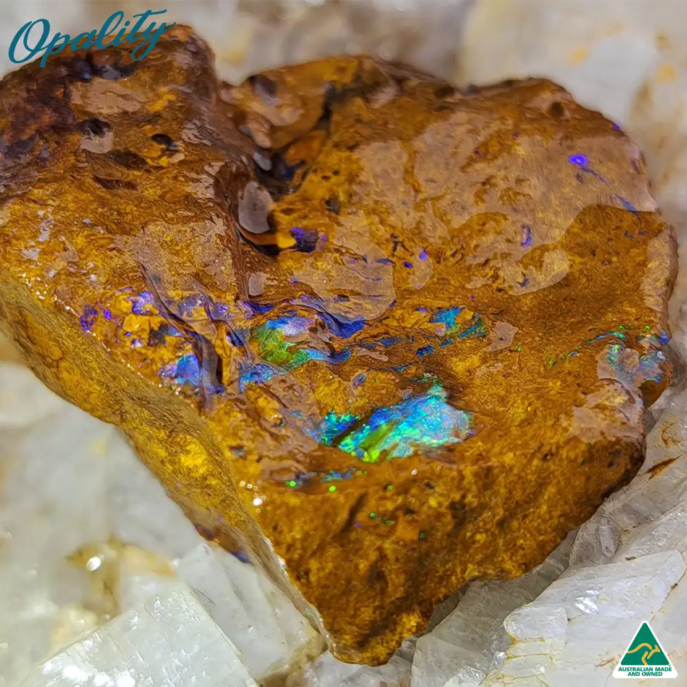 Australian Wood Replacement Opal Rough 28g - Vibrant Specimen - Image 2
