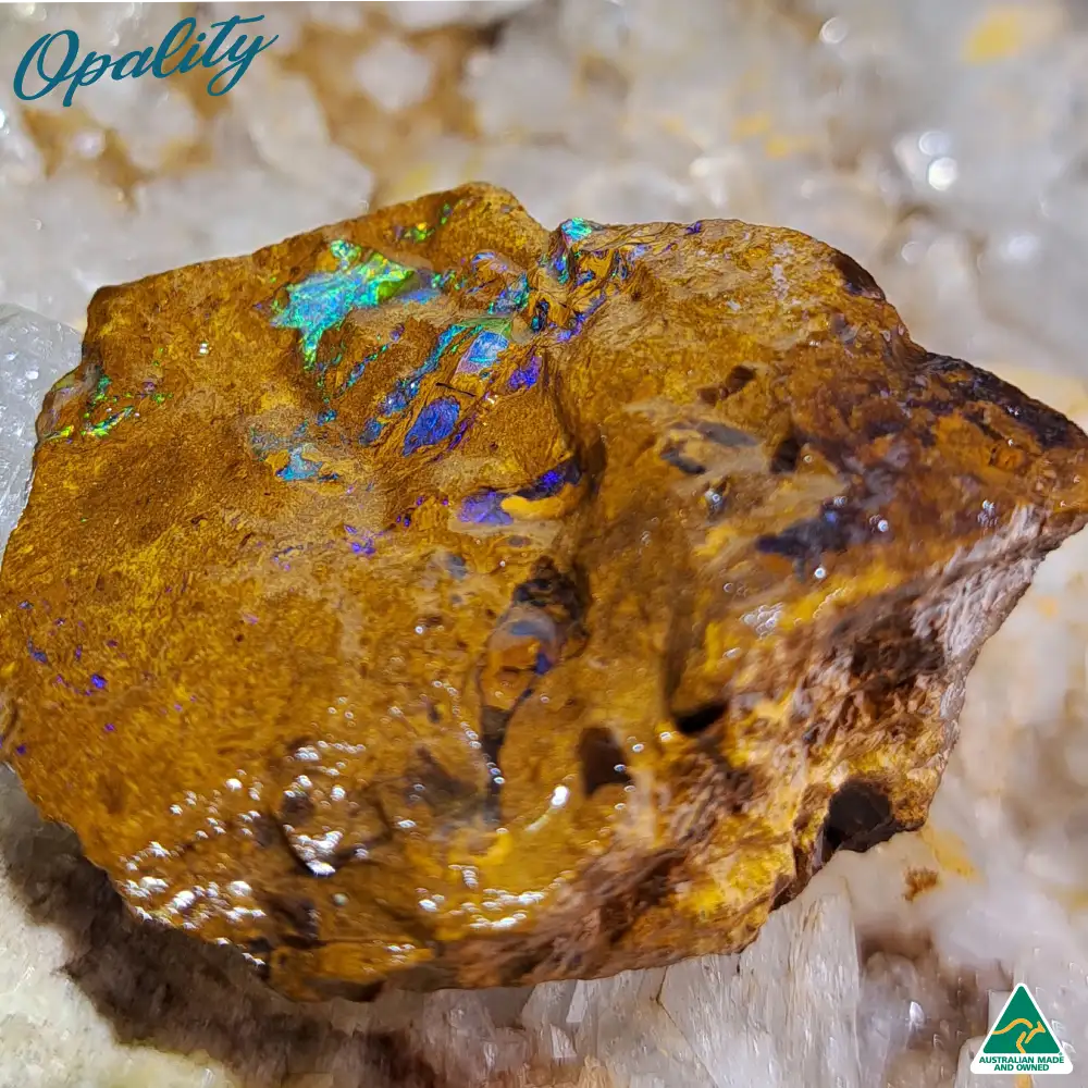 Australian Wood Replacement Opal Rough 28g - Vibrant Specimen - Image 3