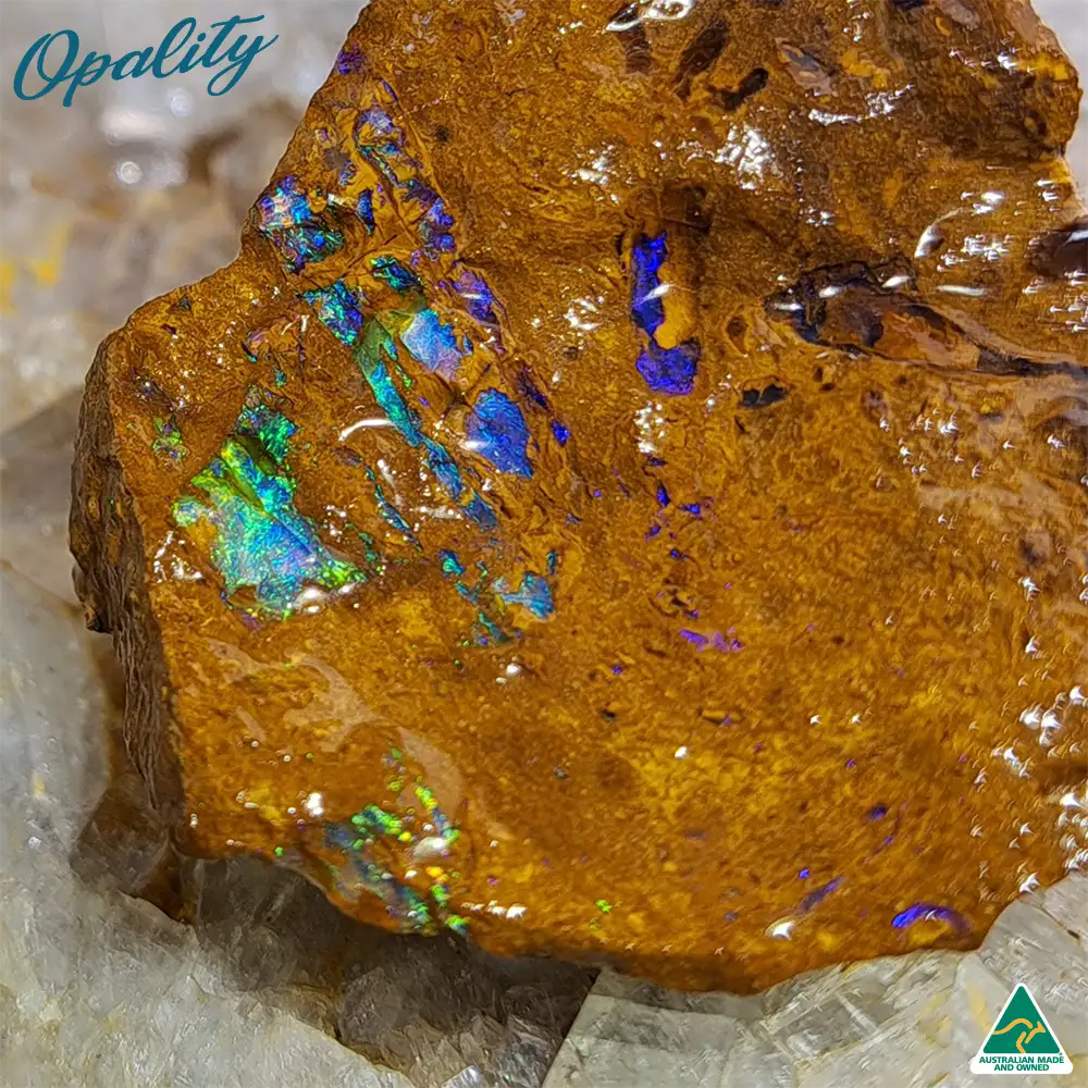 Australian Wood Replacement Opal Rough 28g - Vibrant Specimen - Image 4