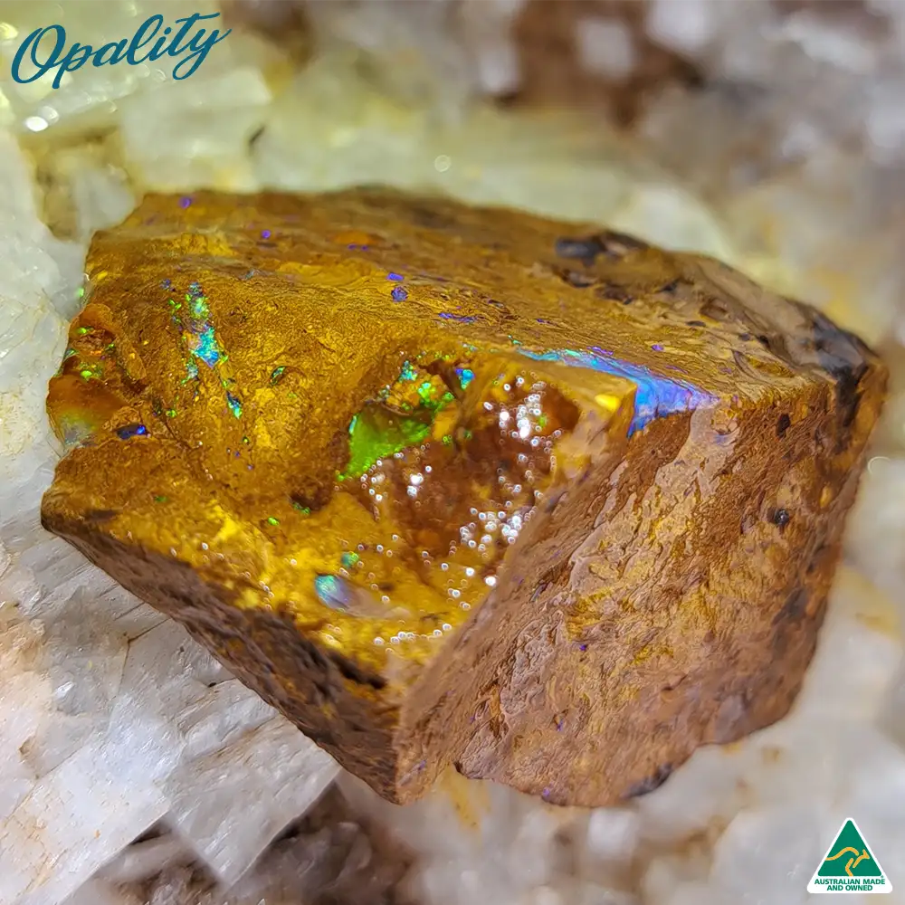 Australian Wood Replacement Opal Rough 28g - Vibrant Specimen - Image 5
