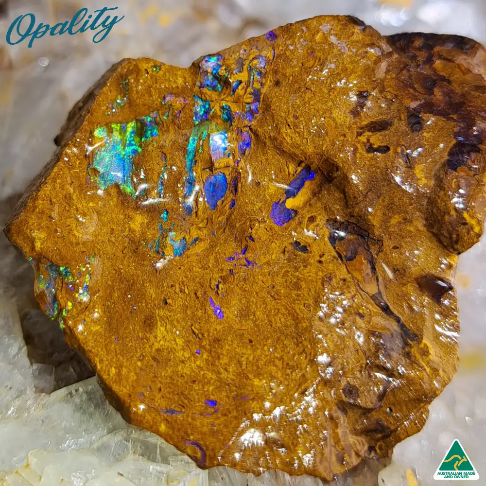 Australian Wood Replacement Opal Rough 28g - Vibrant Specimen