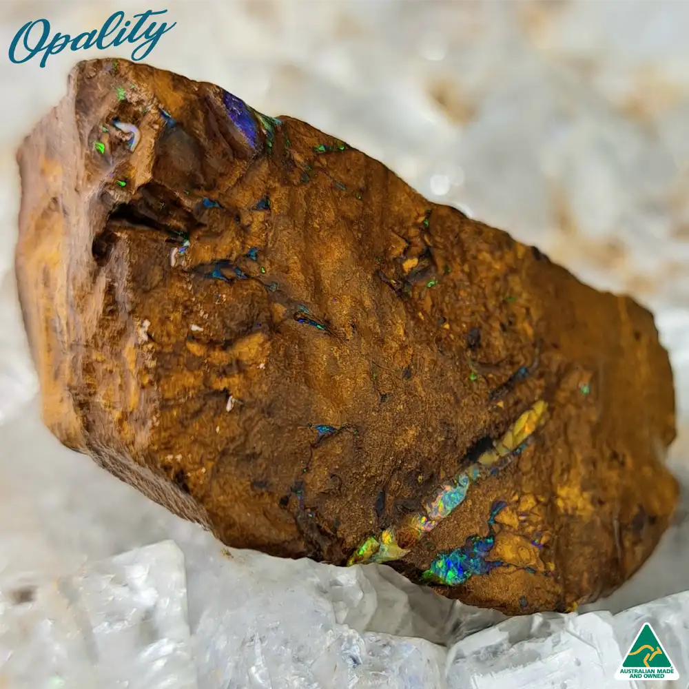 Australian Wood Replacement Opal Rough 29g - Vibrant Rare Specimen - Image 2