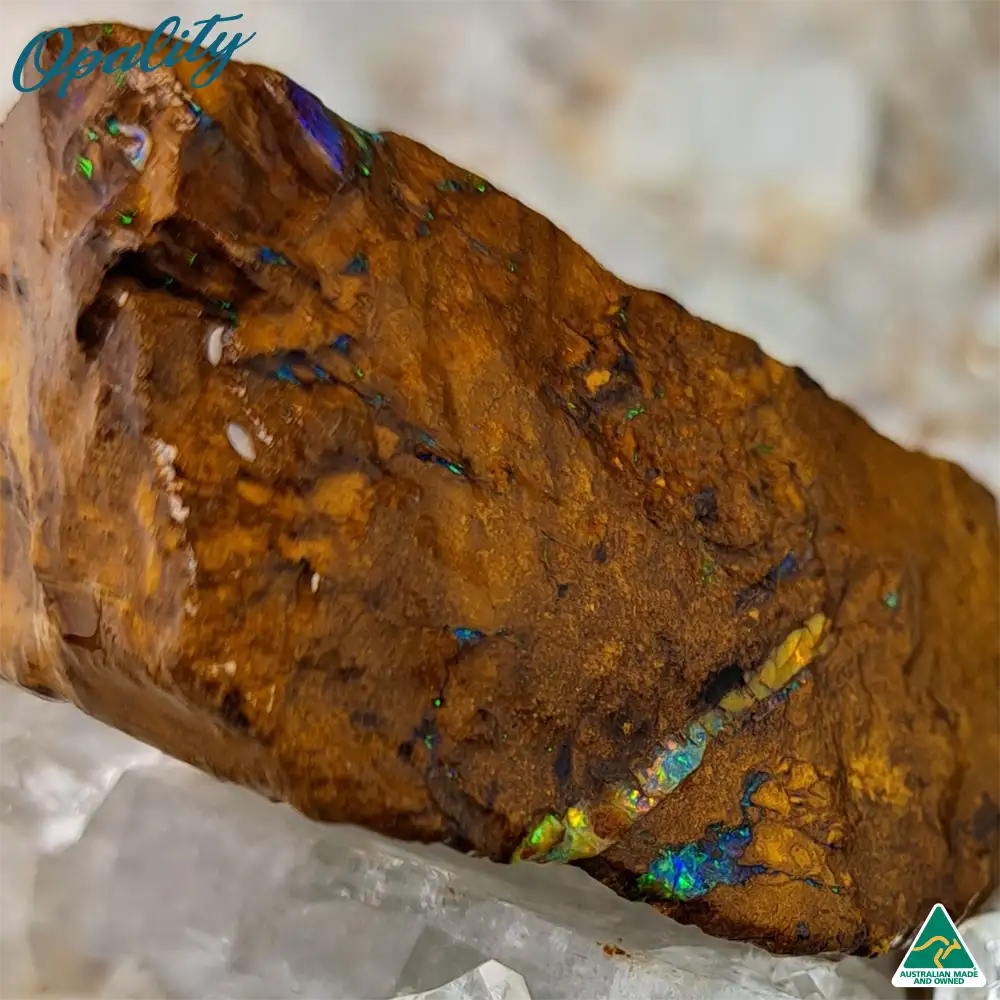 Australian Wood Replacement Opal Rough 29g - Vibrant Rare Specimen - Image 3
