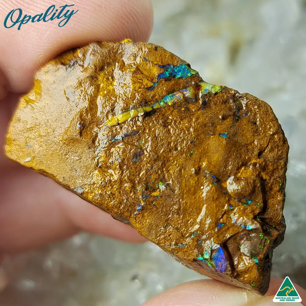 Australian Wood Replacement Opal Rough 29g - Vibrant Rare Specimen - Image 4
