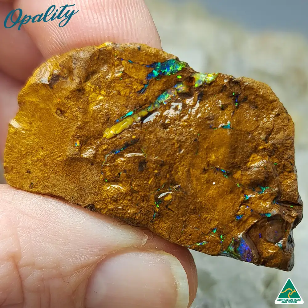 Australian Wood Replacement Opal Rough 29g - Vibrant Rare Specimen - Image 5