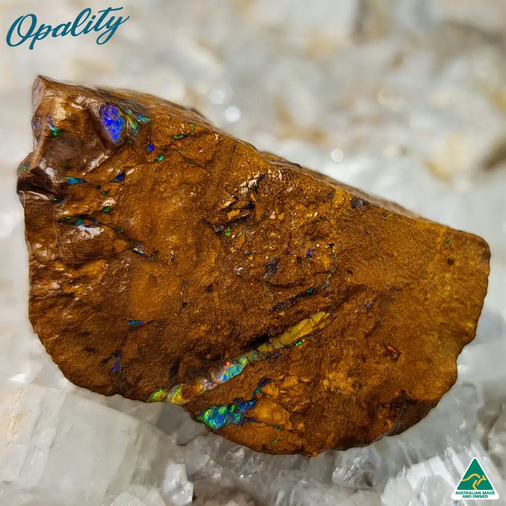Australian Wood Replacement Opal Rough 29g - Vibrant Rare Specimen