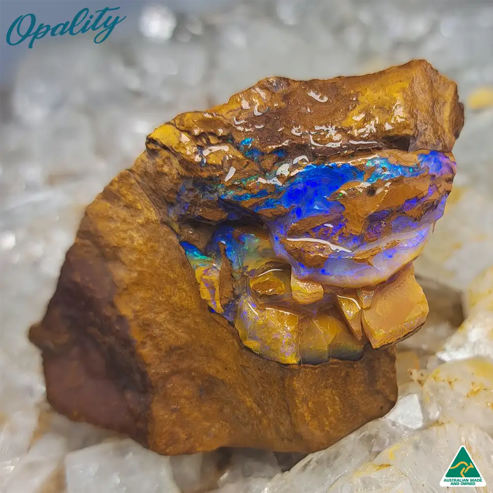 Australian Wood Replacement Opal Rough 48g - Beautiful Specimen - Image 2