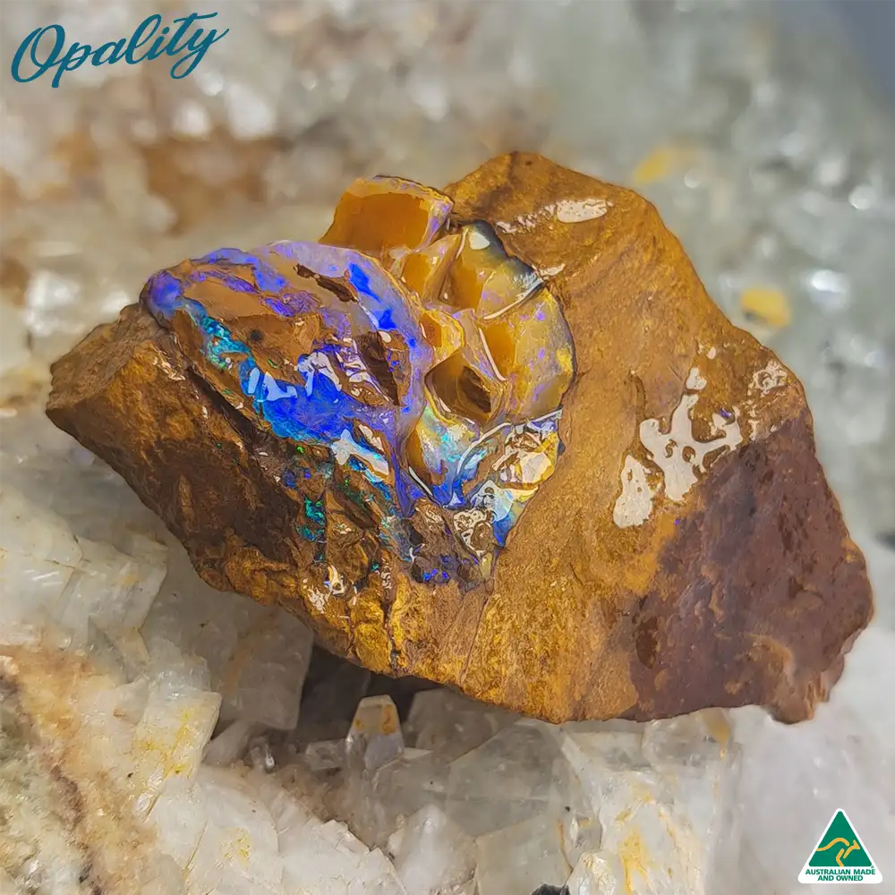 Australian Wood Replacement Opal Rough 48g - Beautiful Specimen - Image 3