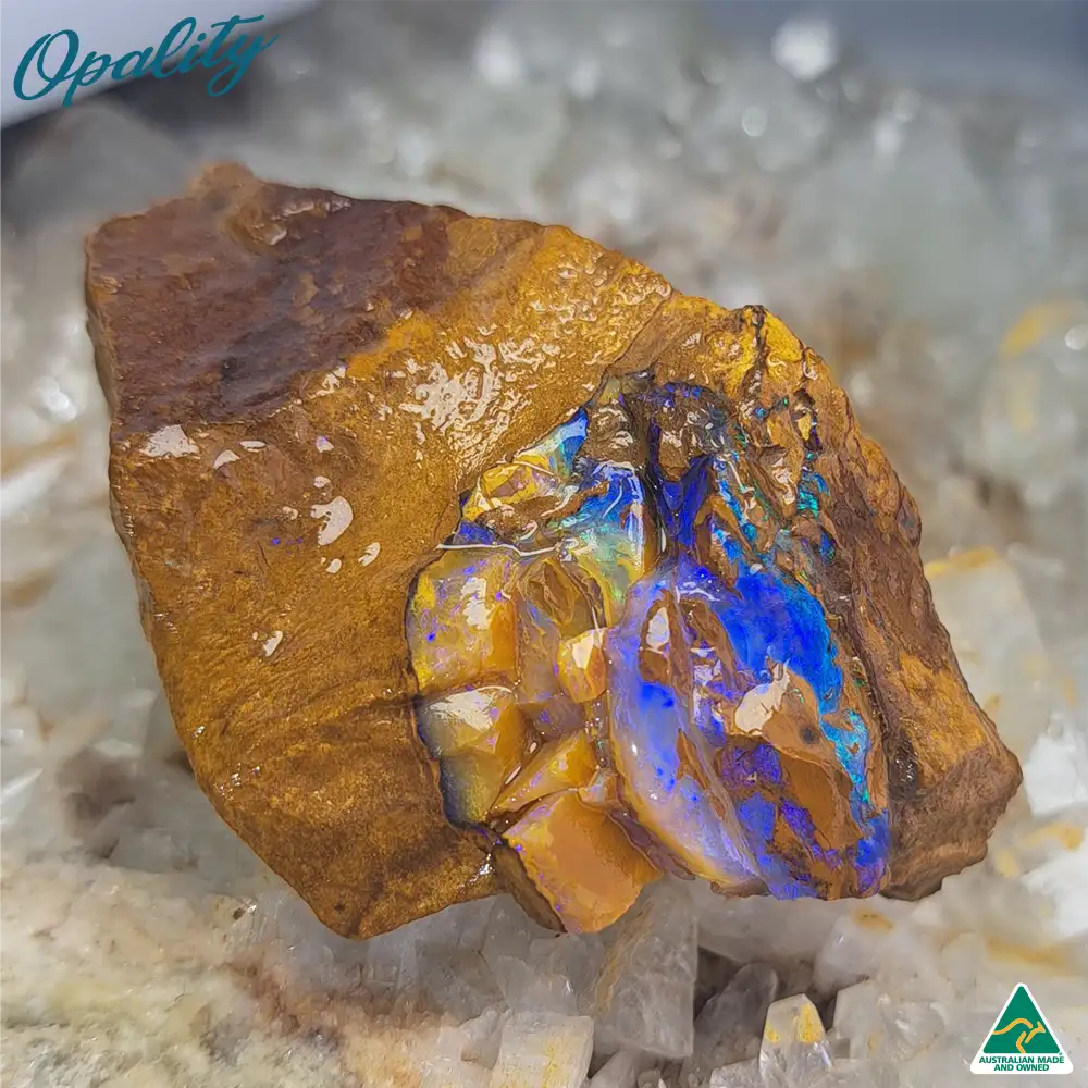 Australian Wood Replacement Opal Rough 48g - Beautiful Specimen - Image 4