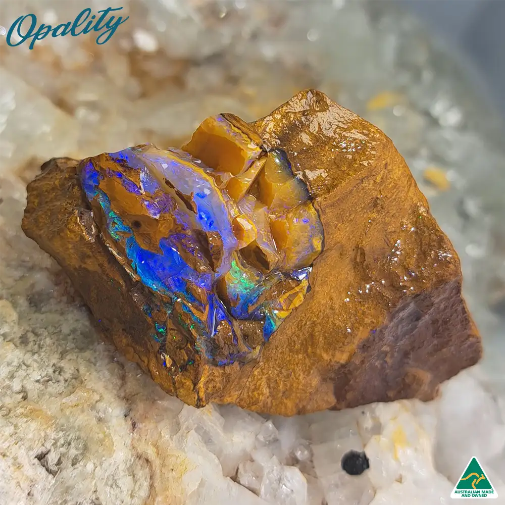 Australian Wood Replacement Opal Rough 48g - Beautiful Specimen - Image 5