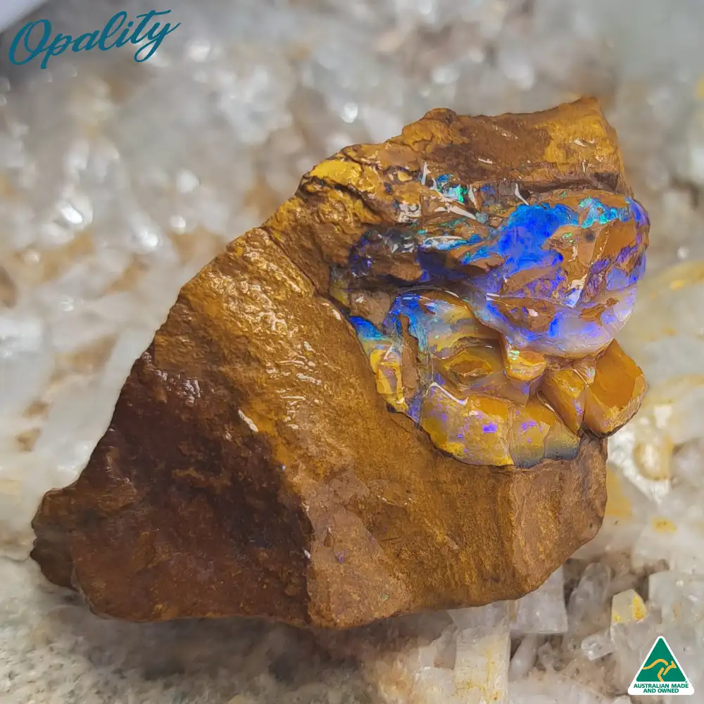 Australian Wood Replacement Opal Rough 48g - Beautiful Specimen - Image 6