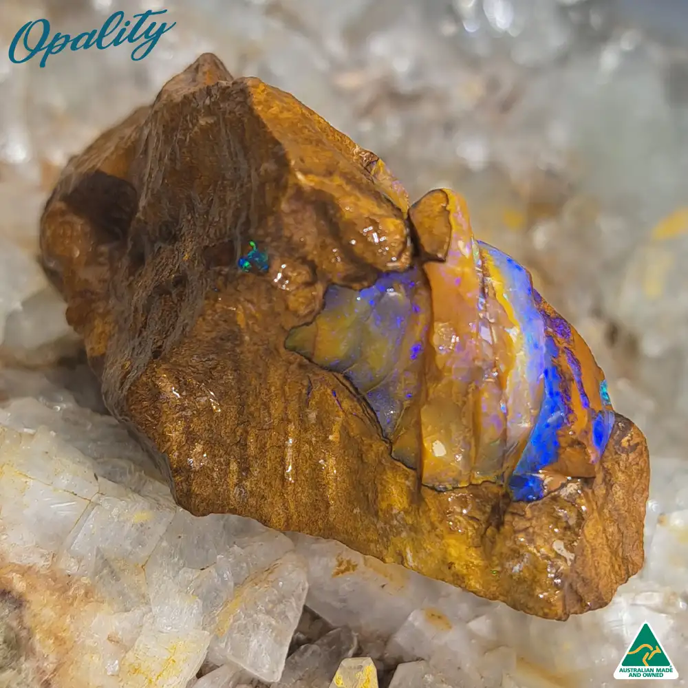 Australian Wood Replacement Opal Rough 48g - Beautiful Specimen - Image 7