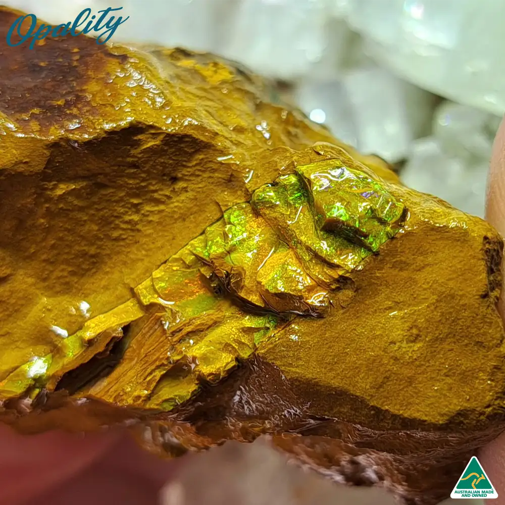 Australian Wood Replacement Opal Rough 52g - Beautiful Rare Green/Yellow/Orange Combination - Image 2