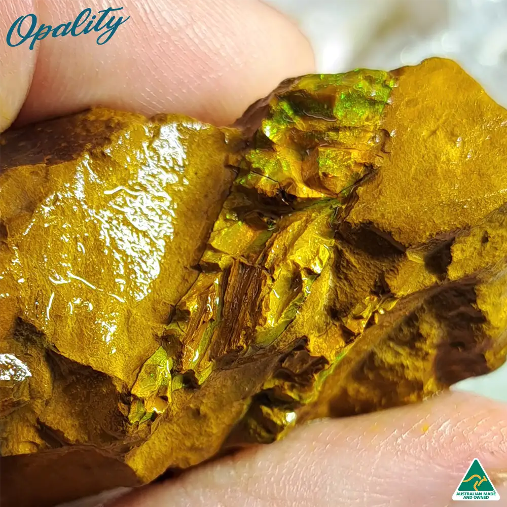 Australian Wood Replacement Opal Rough 52g - Beautiful Rare Green/Yellow/Orange Combination - Image 3