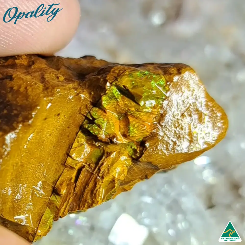 Australian Wood Replacement Opal Rough 52g - Beautiful Rare Green/Yellow/Orange Combination - Image 4