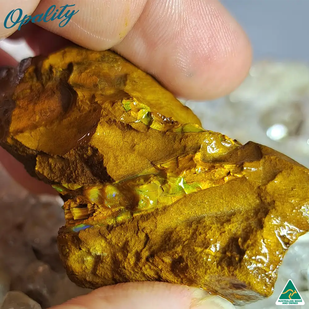Australian Wood Replacement Opal Rough 52g - Beautiful Rare Green/Yellow/Orange Combination - Image 5