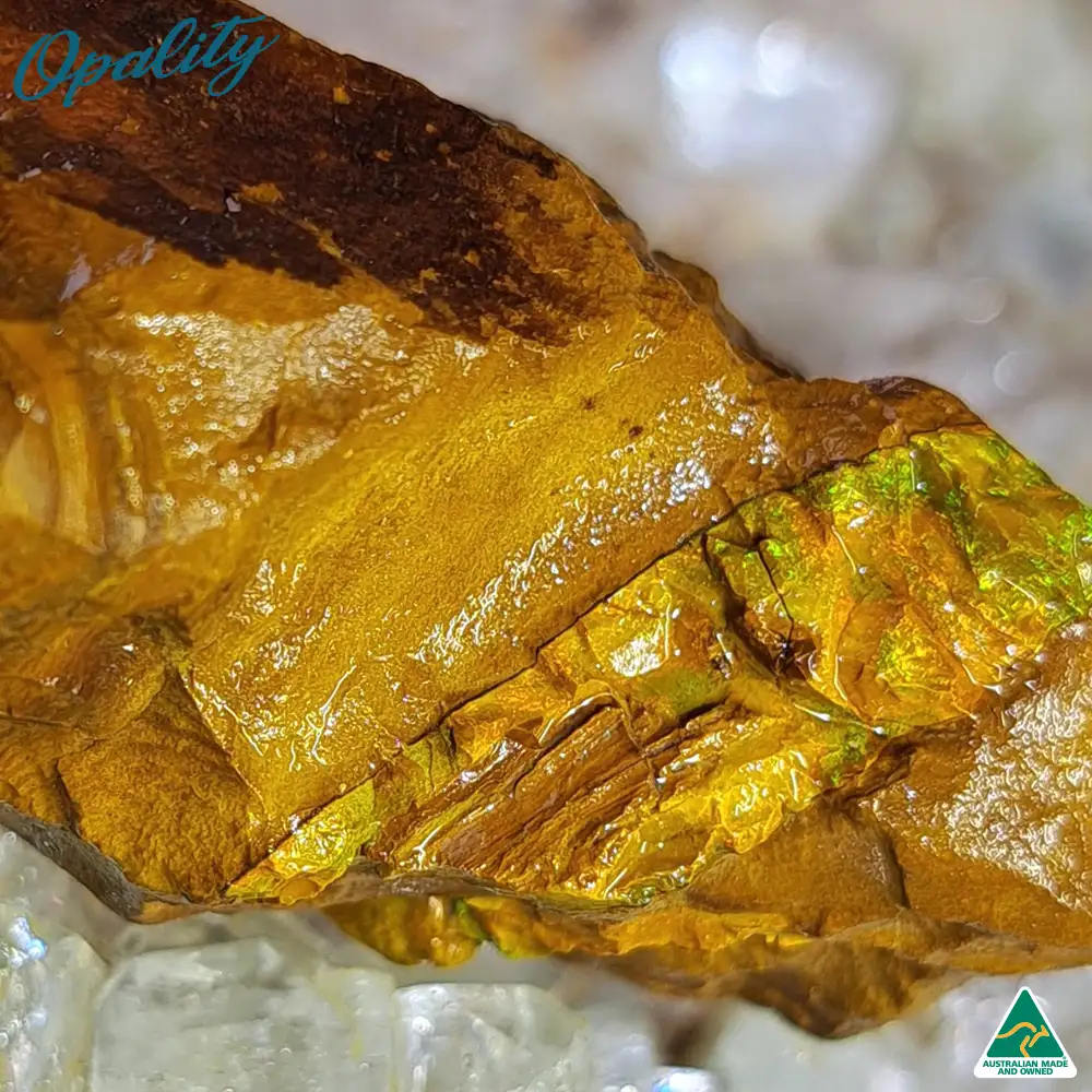 Australian Wood Replacement Opal Rough 52g - Beautiful Rare Green/Yellow/Orange Combination - Image 6