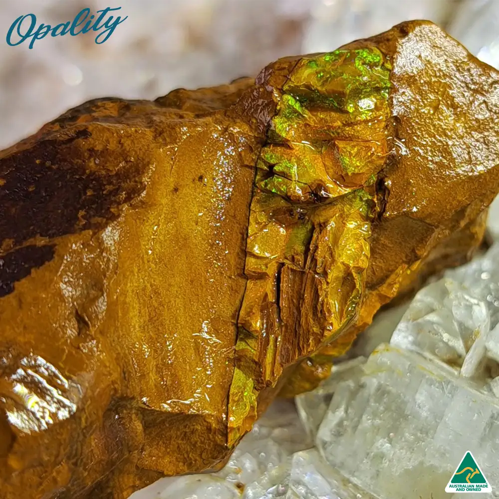 Australian Wood Replacement Opal Rough 52g - Beautiful Rare Green/Yellow/Orange Combination