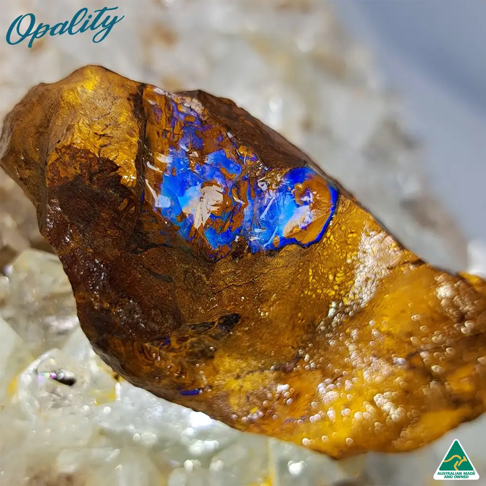 Australian Wood Replacement Opal Rough 60g