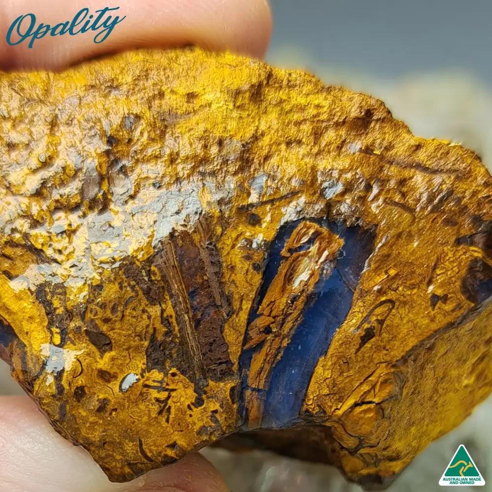 Australian Wood Replacement Opal Rough 88g - Image 2