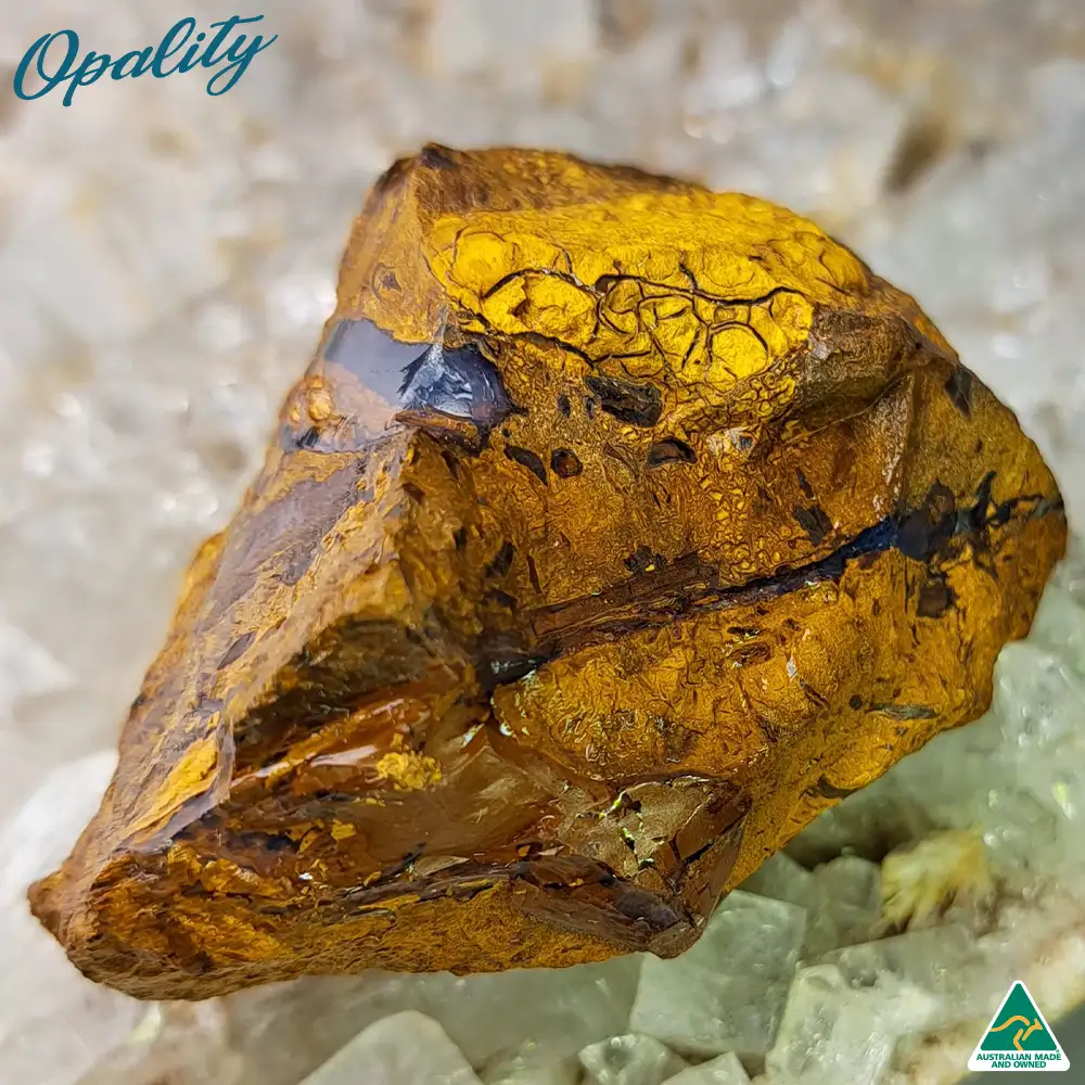 Australian Wood Replacement Opal Rough 88g - Image 5