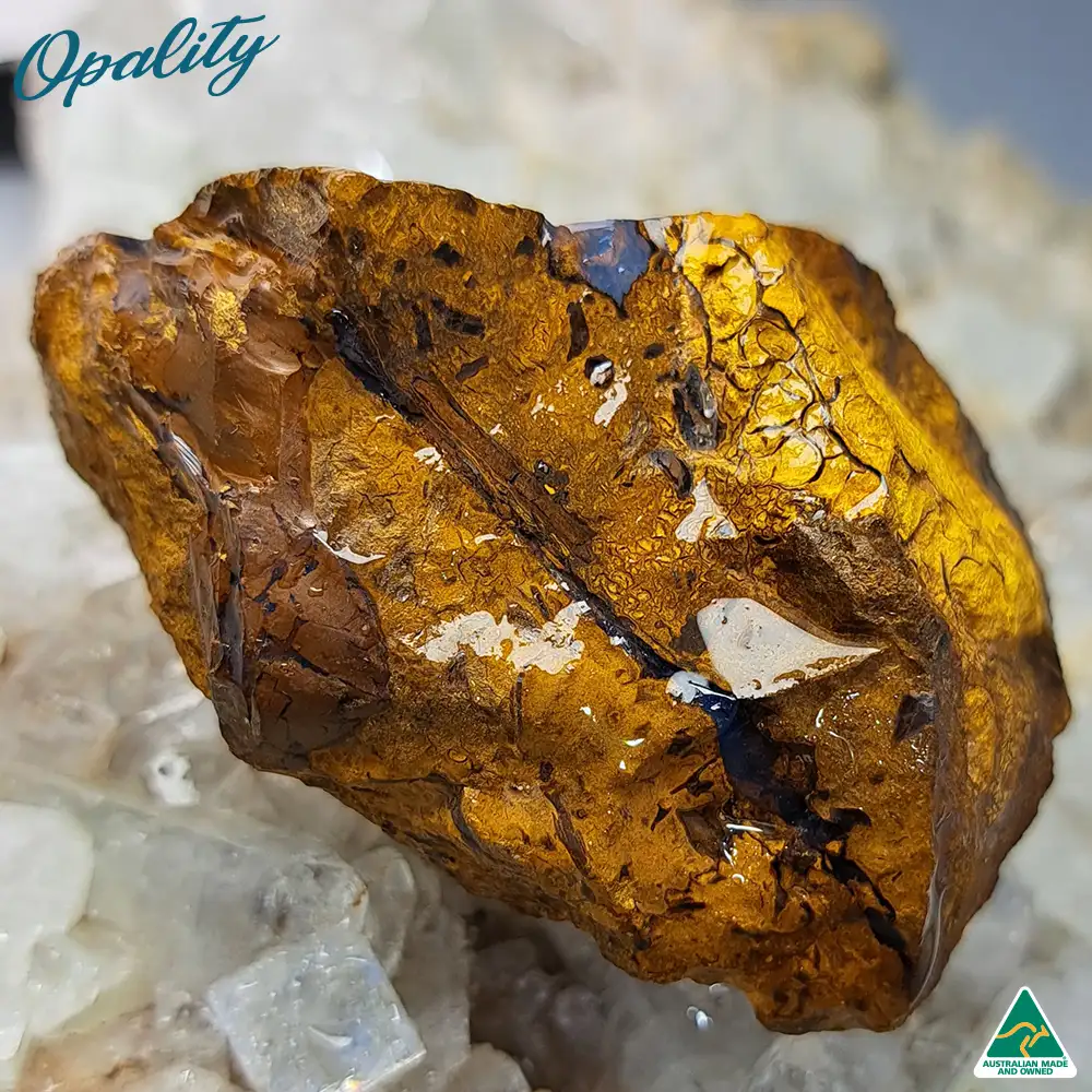 Australian Wood Replacement Opal Rough 88g - Image 6