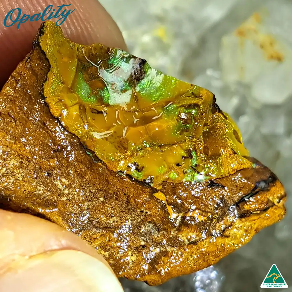 Australian Wood Replacement Opal Rough 13g