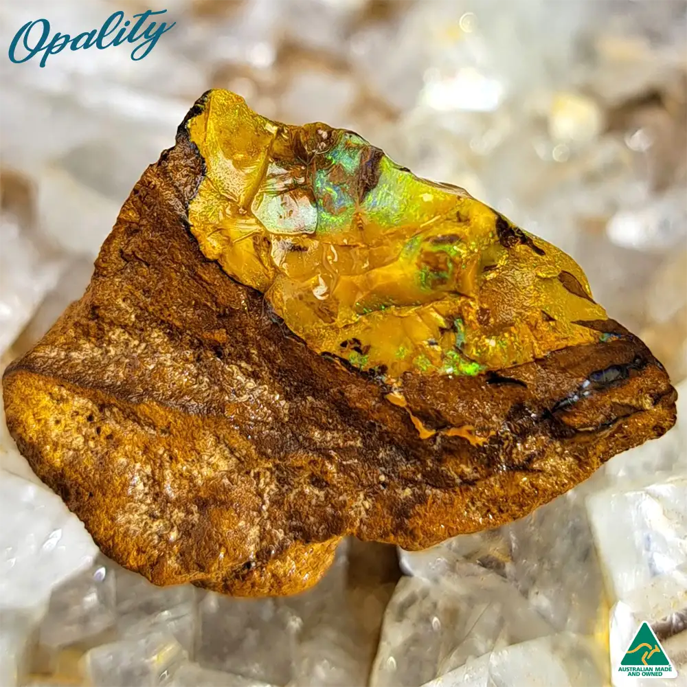 Australian Wood Replacement Opal Rough 13g - Image 2