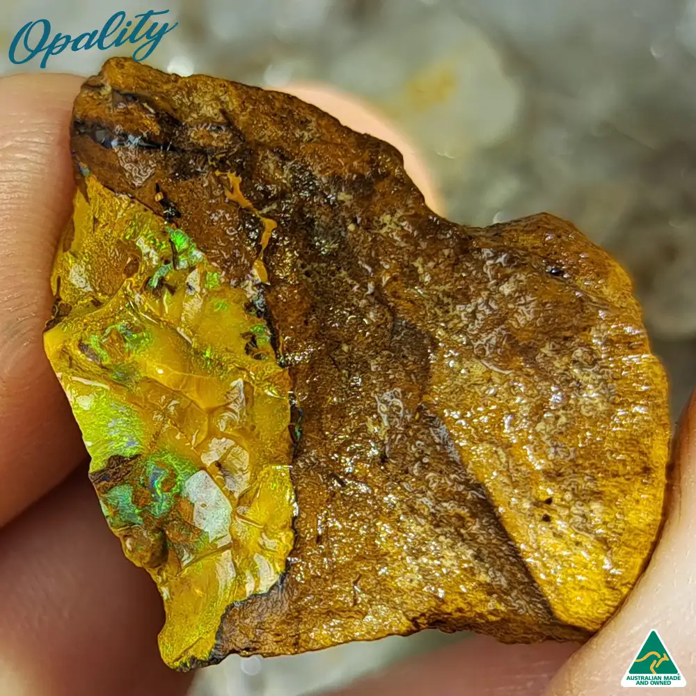 Australian Wood Replacement Opal Rough 13g - Image 3