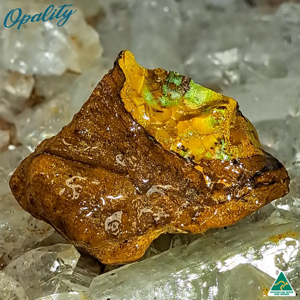 Australian Wood Replacement Opal Rough 13g - Image 4