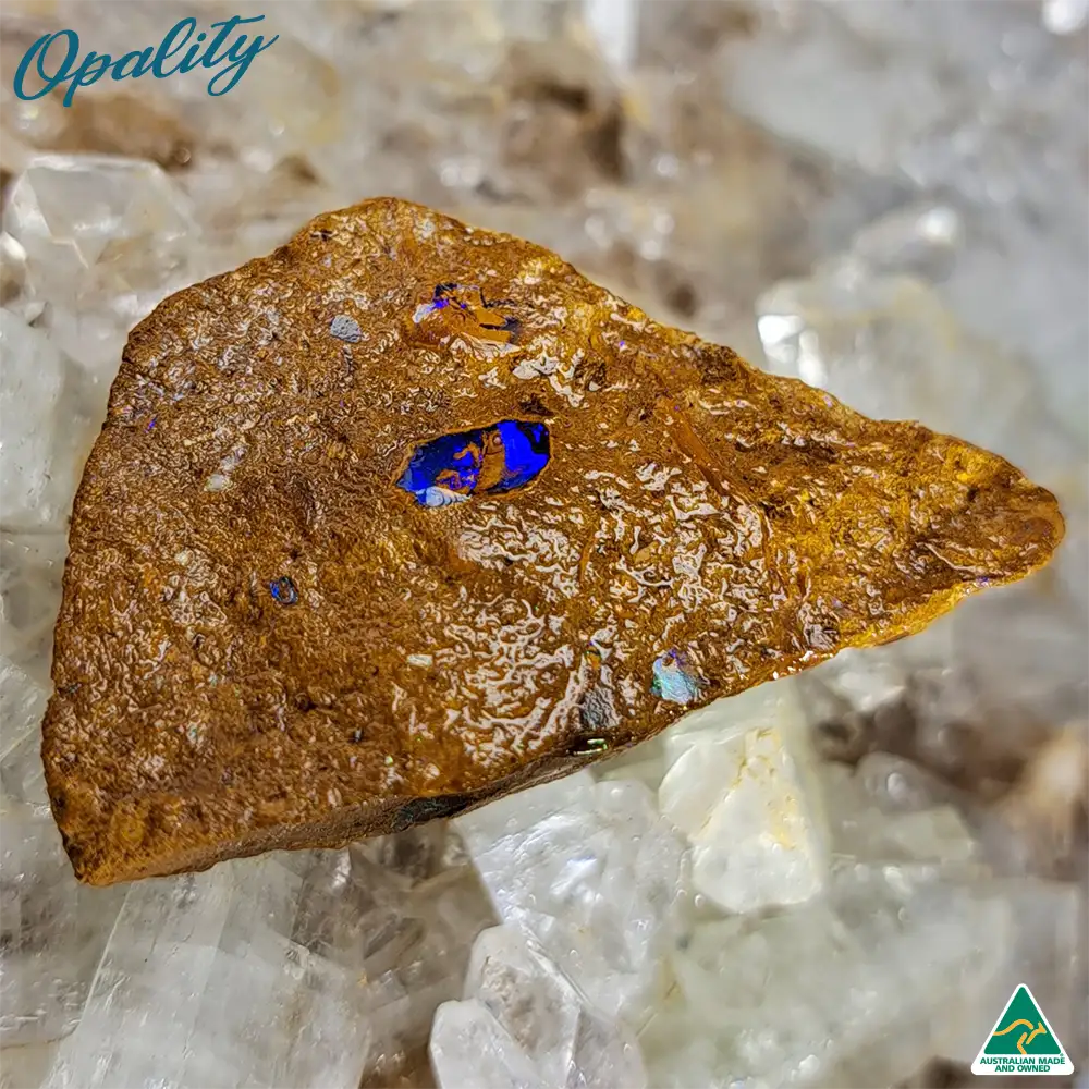 Australian Wood Replacement Opal Rough 15g - One of a Kind Rare Vibrant Specimen - Image 2