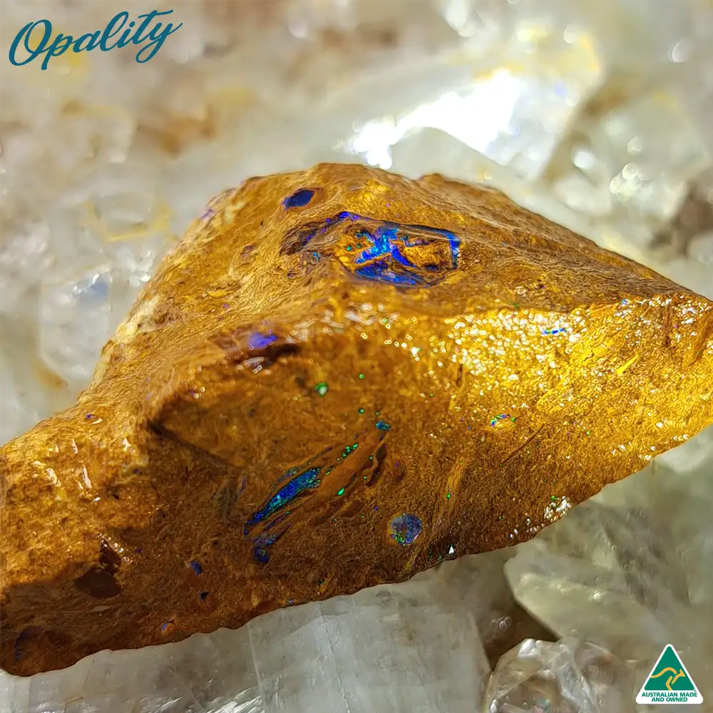 Australian Wood Replacement Opal Rough 15g - One of a Kind Rare Vibrant Specimen - Image 3