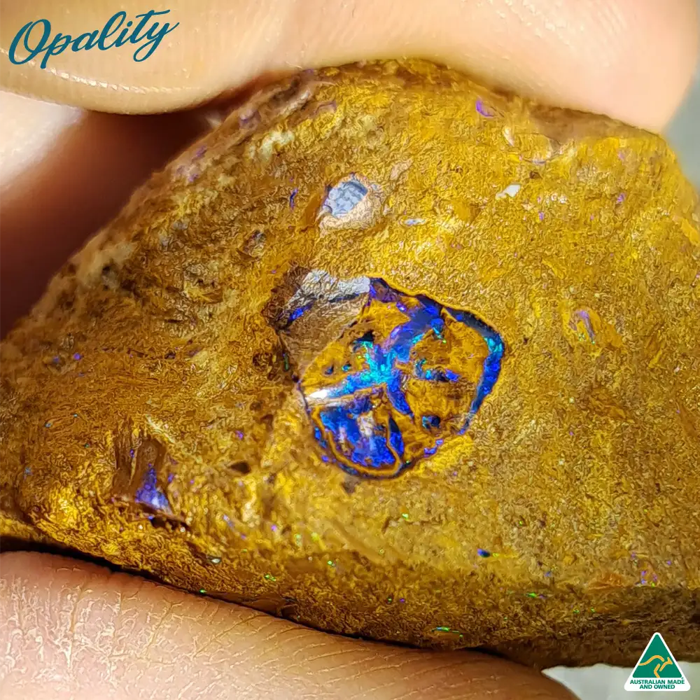 Australian Wood Replacement Opal Rough 15g - One of a Kind Rare Vibrant Specimen - Image 4