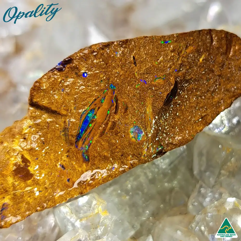 Australian Wood Replacement Opal Rough 15g - One of a Kind Rare Vibrant Specimen - Image 5